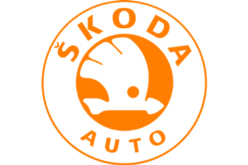 Автомобильные шторки на Skoda